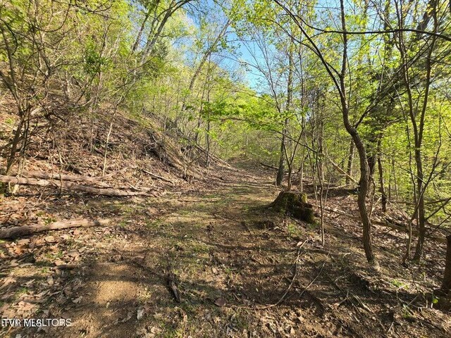 TBD Boatmans Mountain Rd, Morristown, TN 37814 - photo 28