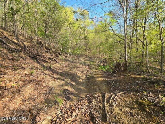 TBD Boatmans Mountain Rd, Morristown, TN 37814 - photo 29