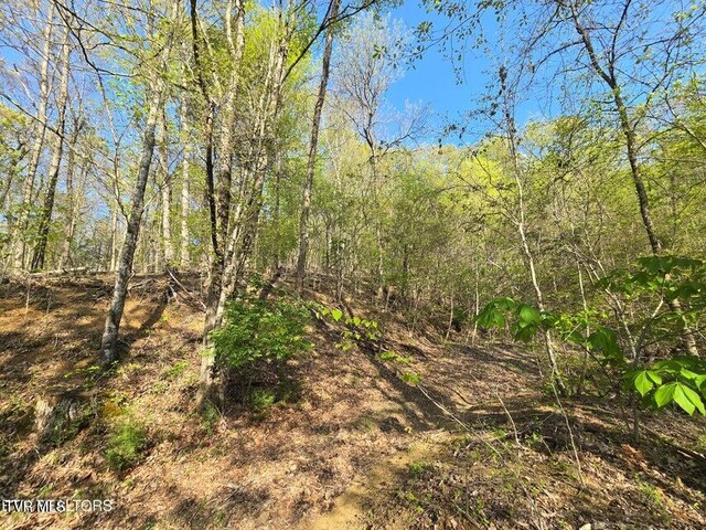 TBD Boatmans Mountain Rd, Morristown, TN 37814 - photo 30