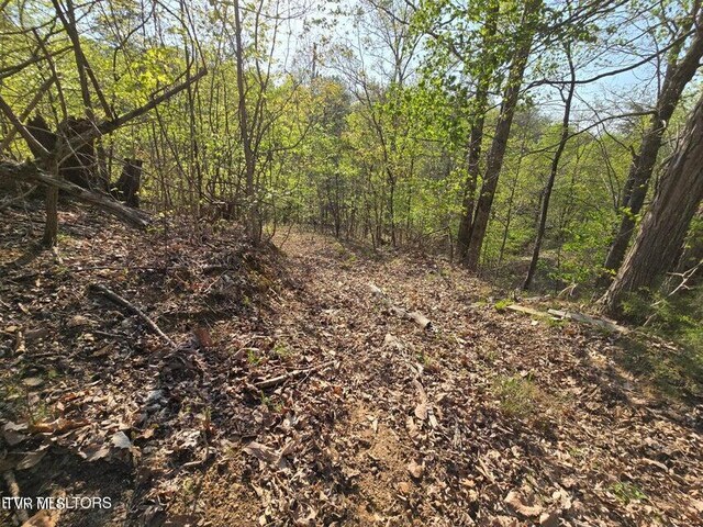 TBD Boatmans Mountain Rd, Morristown, TN 37814 - photo 31