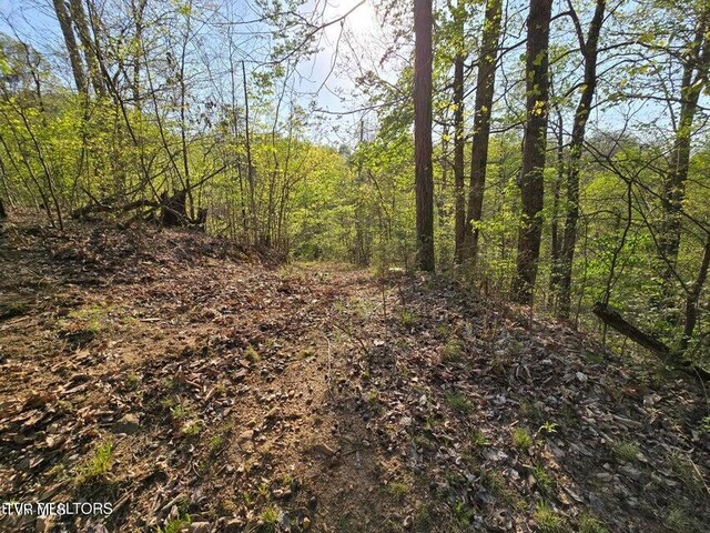 TBD Boatmans Mountain Rd, Morristown, TN 37814 - photo 32