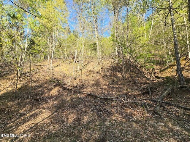 TBD Boatmans Mountain Rd, Morristown, TN 37814 - photo 33