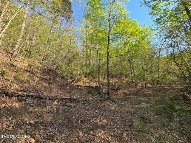 TBD Boatmans Mountain Rd, Morristown, TN 37814 - photo 34