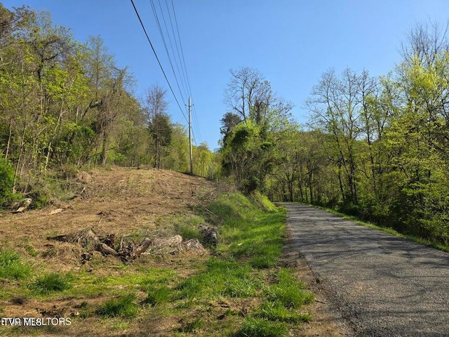 TBD Boatmans Mountain Rd, Morristown, TN 37814 - photo 36