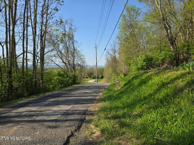 TBD Boatmans Mountain Rd, Morristown, TN 37814 - photo 37