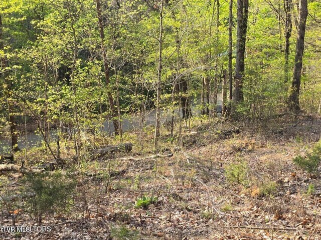 TBD Boatmans Mountain Rd, Morristown, TN 37814 - photo 38