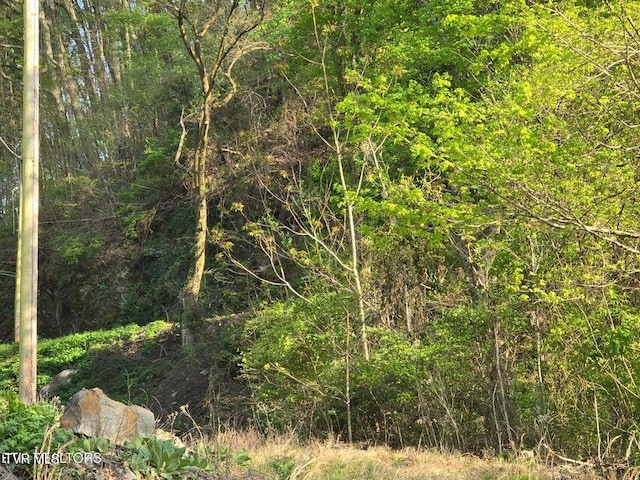 TBD Boatmans Mountain Rd, Morristown, TN 37814 - photo 39