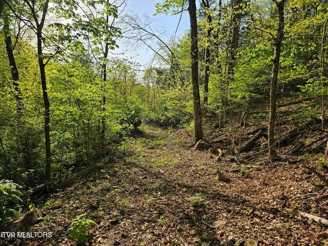TBD Boatmans Mountain Rd, Morristown, TN 37814 - photo 40