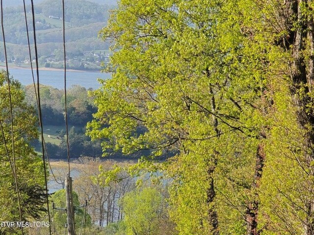 TBD Boatmans Mountain Rd, Morristown, TN 37814 - photo 41