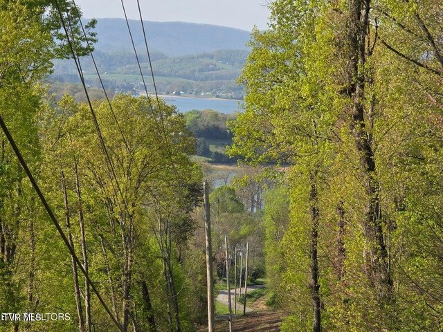 TBD Boatmans Mountain Rd, Morristown, TN 37814 - photo 42