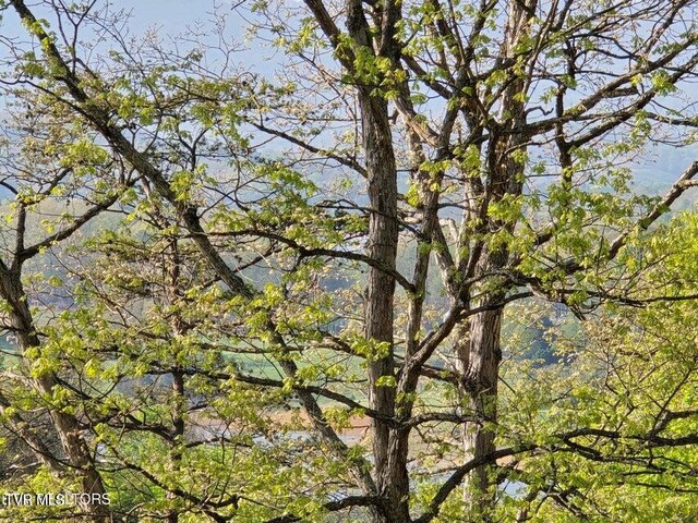 TBD Boatmans Mountain Rd, Morristown, TN 37814 - photo 43