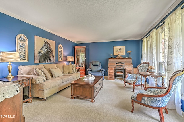 2309 Oxford Ct, Kingsport, TN 37660 - living area featuring carpet, healthy amount of natural light, ornamental molding, and a textured ceiling