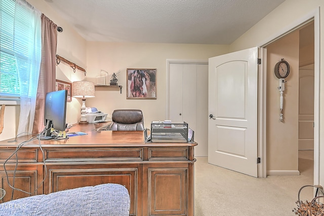 2309 Oxford Ct, Kingsport, TN 37660 - office space featuring light colored carpet and baseboards