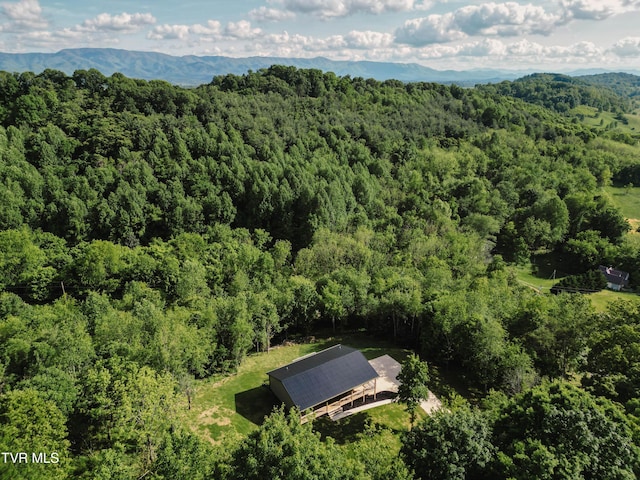 aerial overview of property's location with a heavily wooded area and a mountain backdrop
