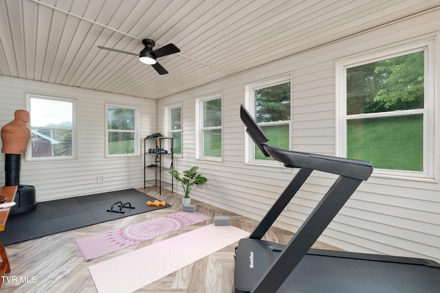 821 Regency Dr, Johnson City, TN 37604 - exercise area featuring a ceiling fan