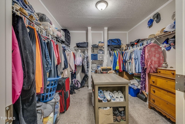 259 W Ridge Rd, Jonesborough, TN 37659