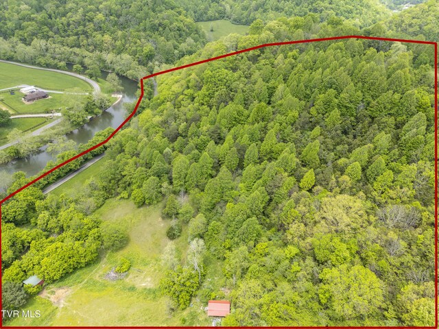 1659 Lungsford Mill Rd, Hiltons, VA 24258 - photo 6