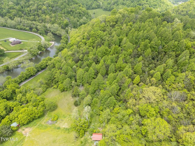 1659 Lungsford Mill Rd, Hiltons, VA 24258 - photo 13
