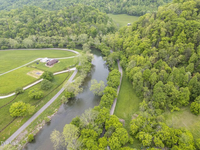 1659 Lungsford Mill Rd, Hiltons, VA 24258 - photo 36