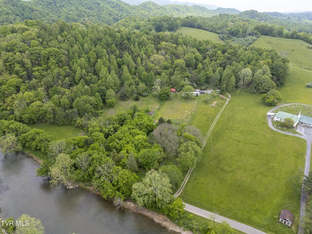 1659 Lungsford Mill Rd, Hiltons, VA 24258 - photo 16