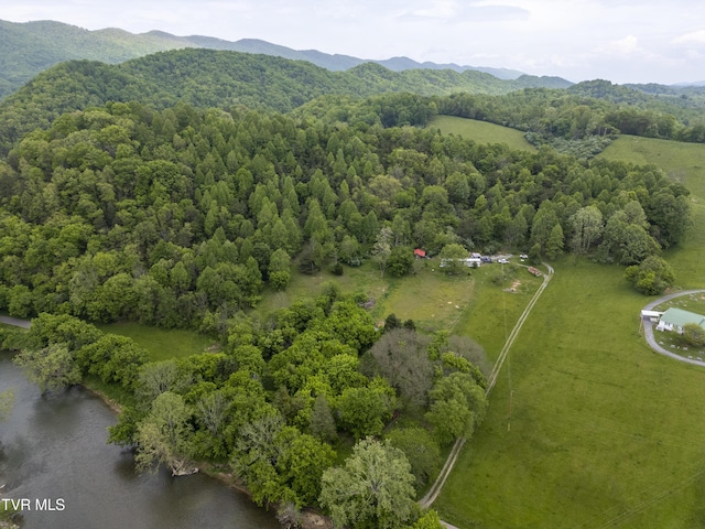1659 Lungsford Mill Rd, Hiltons, VA 24258 - photo 2