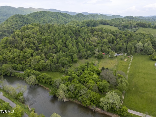 1659 Lungsford Mill Rd, Hiltons, VA 24258 - photo 1