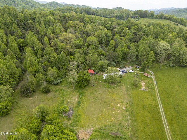 1659 Lungsford Mill Rd, Hiltons, VA 24258 - photo 18