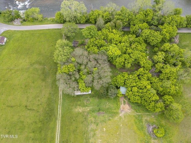 1659 Lungsford Mill Rd, Hiltons, VA 24258 - photo 24