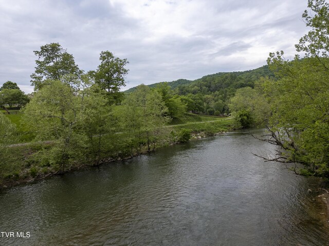 1659 Lungsford Mill Rd, Hiltons, VA 24258 - photo 25