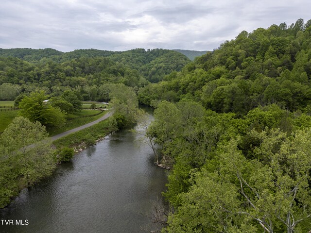 1659 Lungsford Mill Rd, Hiltons, VA 24258 - photo 27