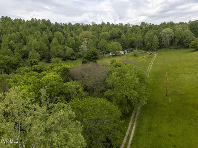 1659 Lungsford Mill Rd, Hiltons, VA 24258 - photo 8