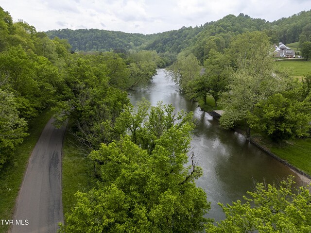 1659 Lungsford Mill Rd, Hiltons, VA 24258 - photo 28