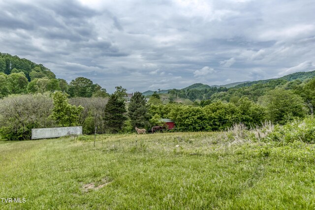 1659 Lungsford Mill Rd, Hiltons, VA 24258 - photo 29