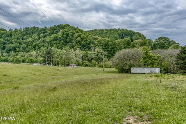 1659 Lungsford Mill Rd, Hiltons, VA 24258 - photo 30