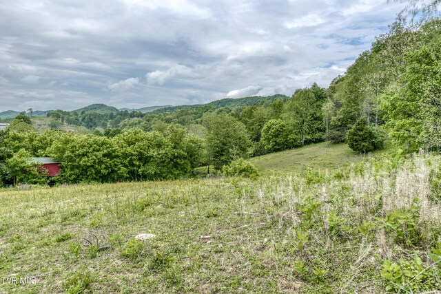 1659 Lungsford Mill Rd, Hiltons, VA 24258 - photo 31