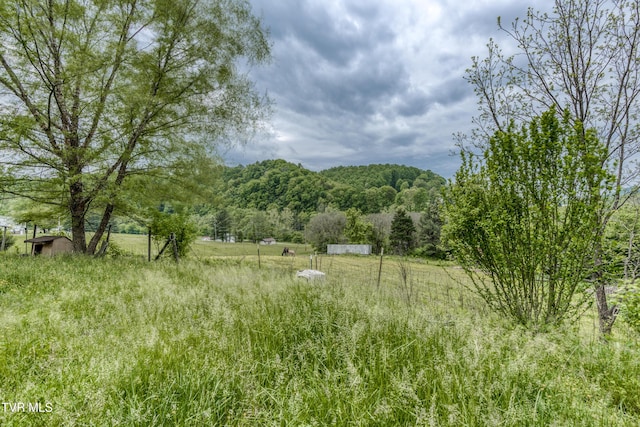 1659 Lungsford Mill Rd, Hiltons, VA 24258 - photo 32