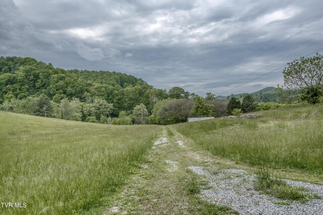 1659 Lungsford Mill Rd, Hiltons, VA 24258 - photo 40