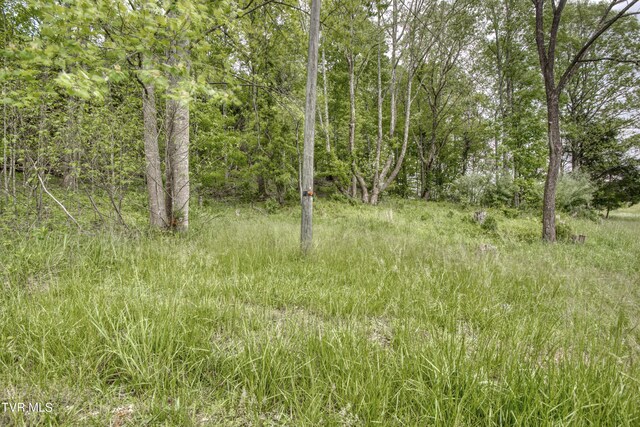 1659 Lungsford Mill Rd, Hiltons, VA 24258 - photo 33