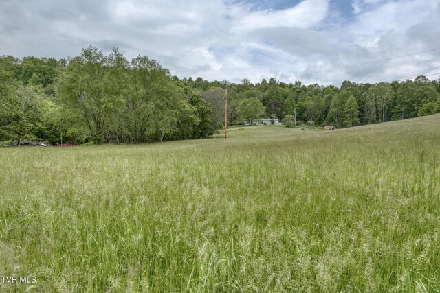 1659 Lungsford Mill Rd, Hiltons, VA 24258 - photo 39