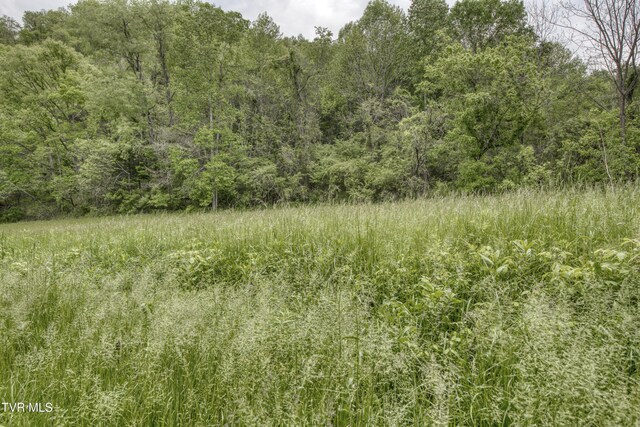 1659 Lungsford Mill Rd, Hiltons, VA 24258 - photo 37