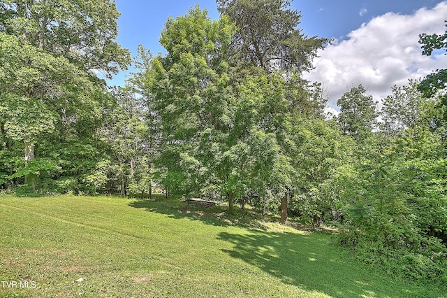 420 Gustavis Ave, Kingsport, TN 37664 - photo 27