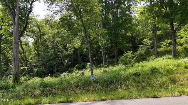 TR40 Cowan Town Rd, Butler, TN 37640 - photo 2