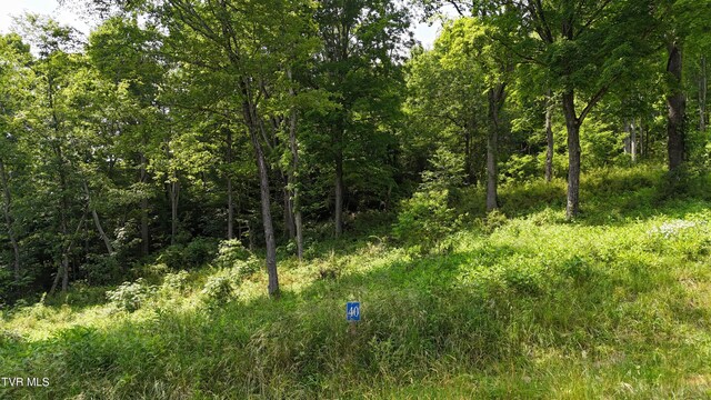 TR40 Cowan Town Rd, Butler, TN 37640 - photo 3