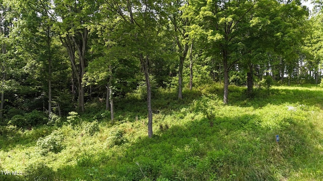 TR40 Cowan Town Rd, Butler, TN 37640 - photo 6