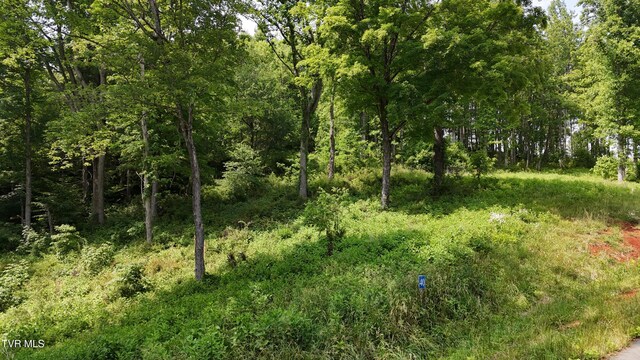 TR40 Cowan Town Rd, Butler, TN 37640 - photo 7