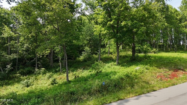TR40 Cowan Town Rd, Butler, TN 37640 - photo 8