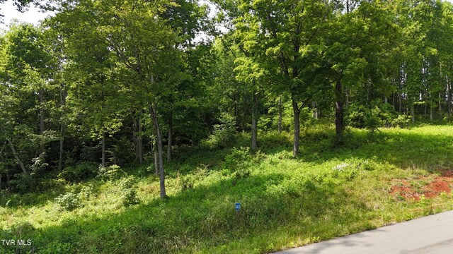 TR40 Cowan Town Rd, Butler, TN 37640 - photo 9