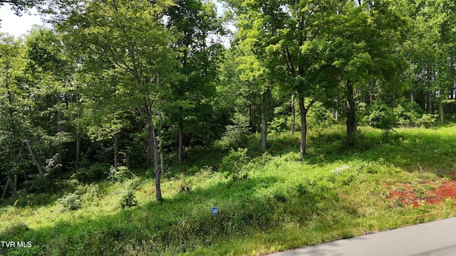 TR40 Cowan Town Rd, Butler, TN 37640 - photo 10