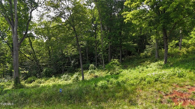 TR40 Cowan Town Rd, Butler, TN 37640 - photo 11