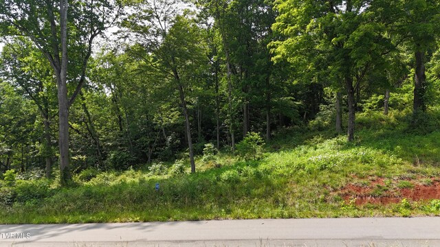 TR40 Cowan Town Rd, Butler, TN 37640 - photo 12